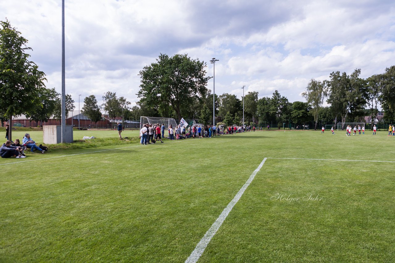 Bild 150 - wBJ Hamburger SV : SV Henstedt Ulzburg : Ergebnis: 4:2